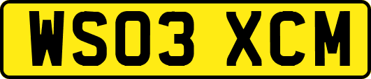 WS03XCM
