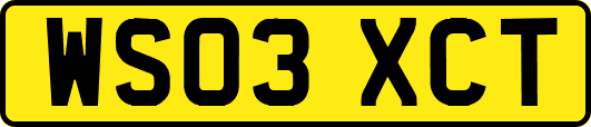 WS03XCT