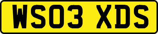 WS03XDS