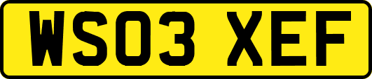 WS03XEF