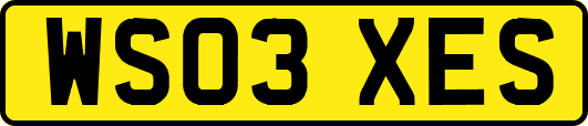 WS03XES