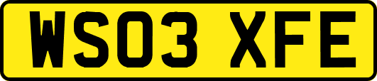 WS03XFE