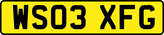 WS03XFG