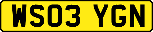 WS03YGN