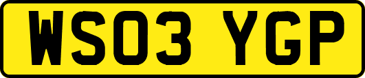 WS03YGP