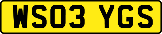 WS03YGS