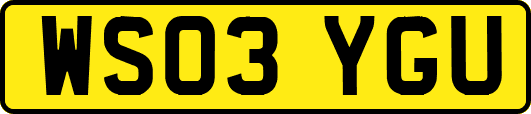 WS03YGU