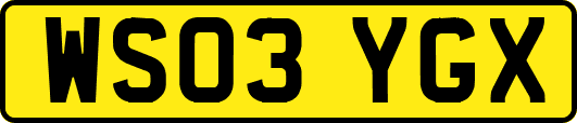 WS03YGX