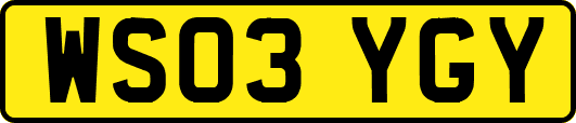 WS03YGY