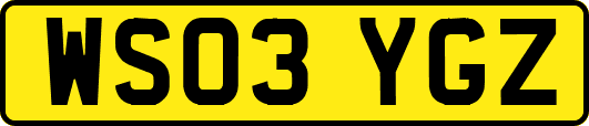 WS03YGZ
