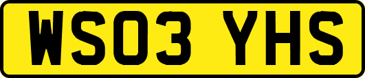 WS03YHS