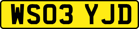 WS03YJD
