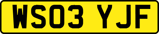 WS03YJF