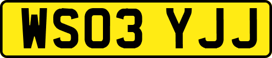 WS03YJJ
