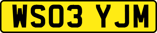 WS03YJM