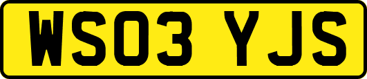 WS03YJS