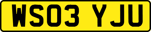 WS03YJU