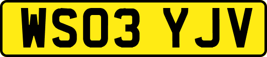 WS03YJV