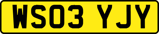 WS03YJY