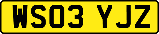 WS03YJZ