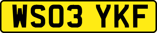 WS03YKF