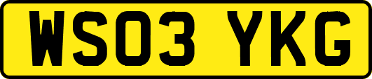 WS03YKG