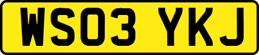 WS03YKJ