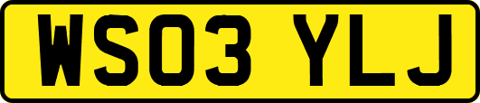 WS03YLJ