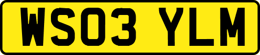 WS03YLM
