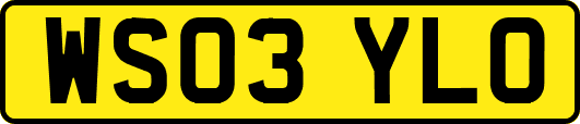 WS03YLO