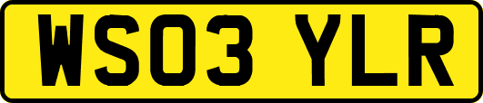 WS03YLR