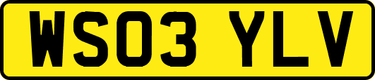 WS03YLV