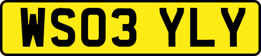 WS03YLY