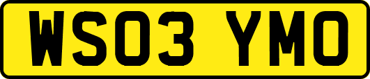 WS03YMO