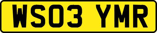 WS03YMR