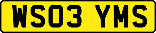 WS03YMS