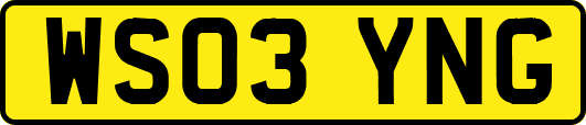 WS03YNG