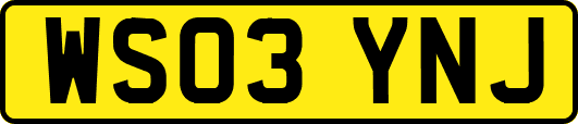 WS03YNJ