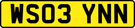 WS03YNN
