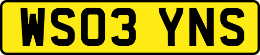 WS03YNS