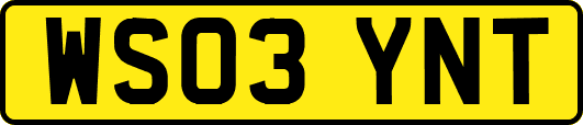 WS03YNT