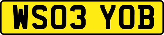 WS03YOB