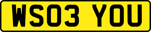 WS03YOU
