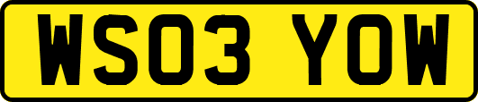 WS03YOW