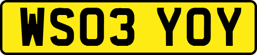 WS03YOY