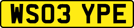 WS03YPE