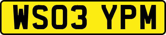 WS03YPM
