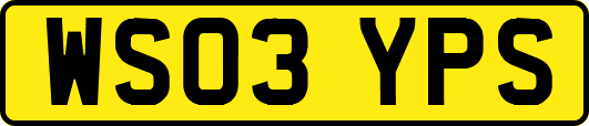 WS03YPS