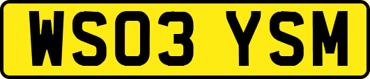 WS03YSM