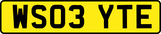 WS03YTE